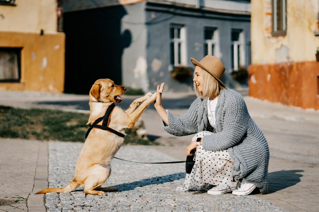 tierliebe Frau